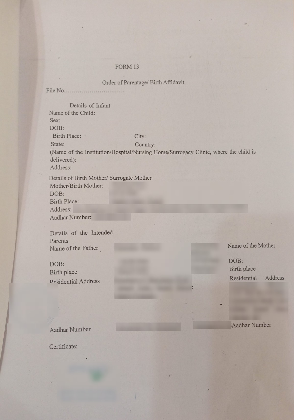 Form 13 Order of Parentage and Birth Affidavit with the birth mother, intended parents, seal and attestation blurred